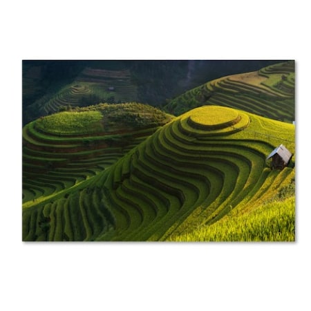 Jakkree Thampitakkull 'Gold Rice Terrace' Canvas Art,30x47